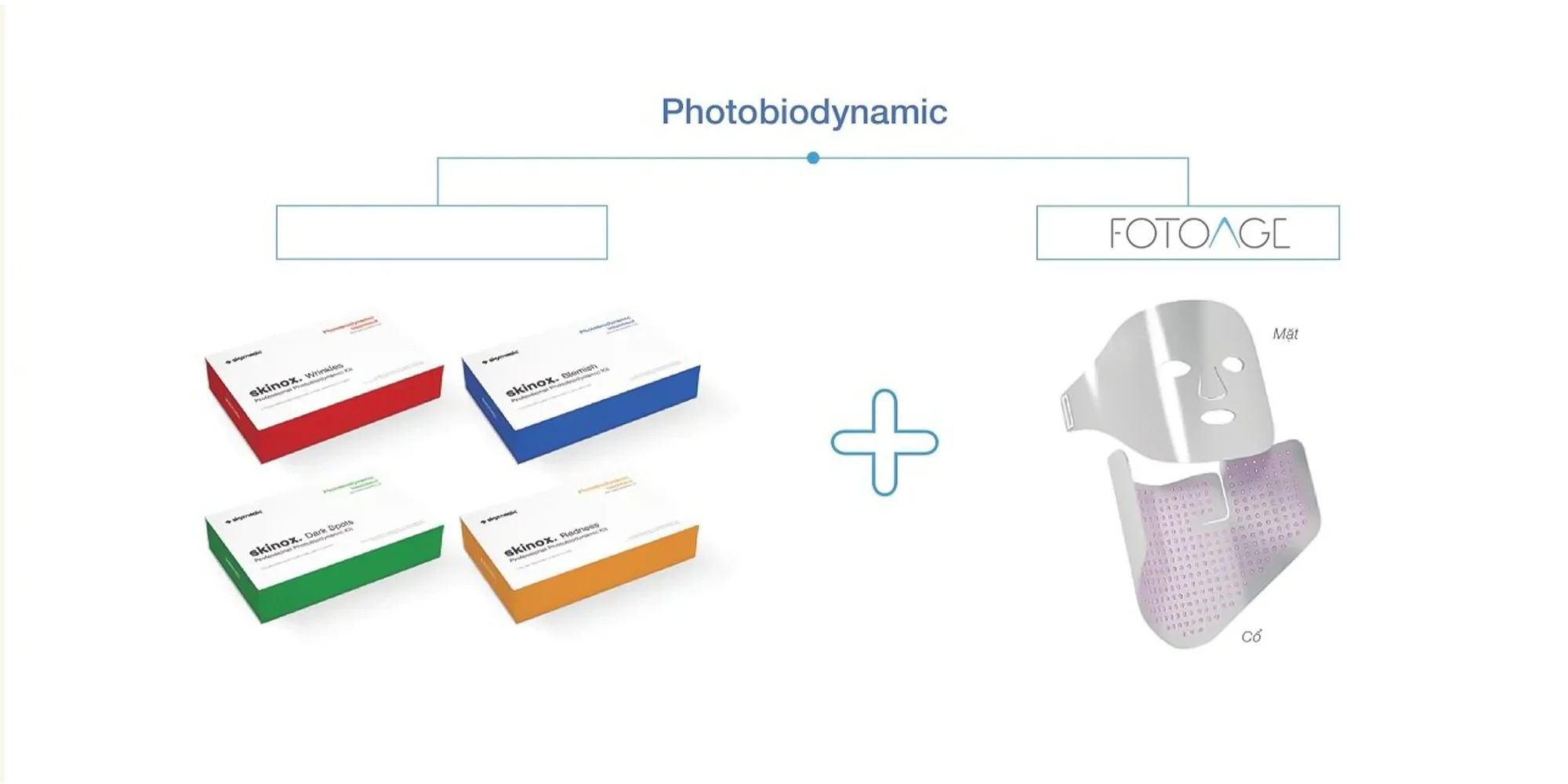lieu-phap-photobiodynamic-1