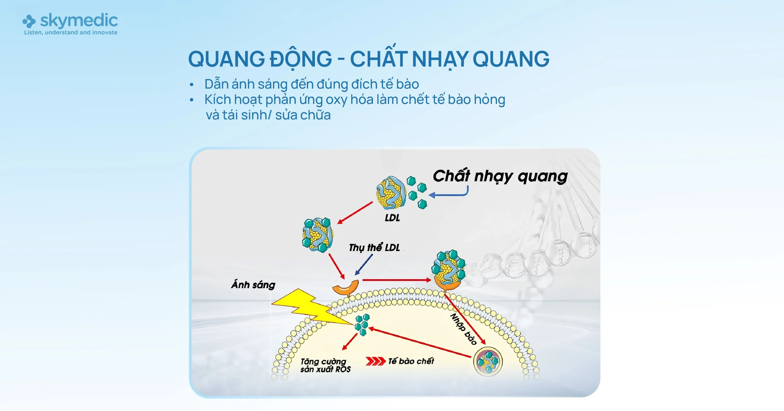 Giải pháp tổng lực 4in1 tái cấu trúc nền da Skymedic